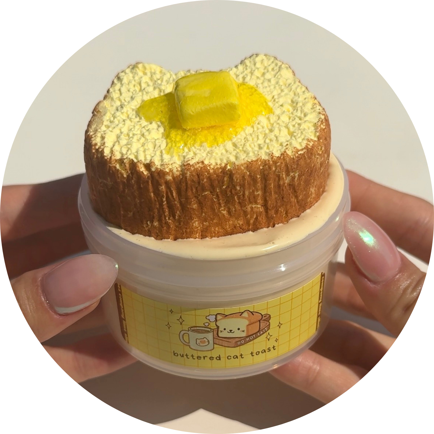 Buttered Cat Toast DIY Clay Slime Kit