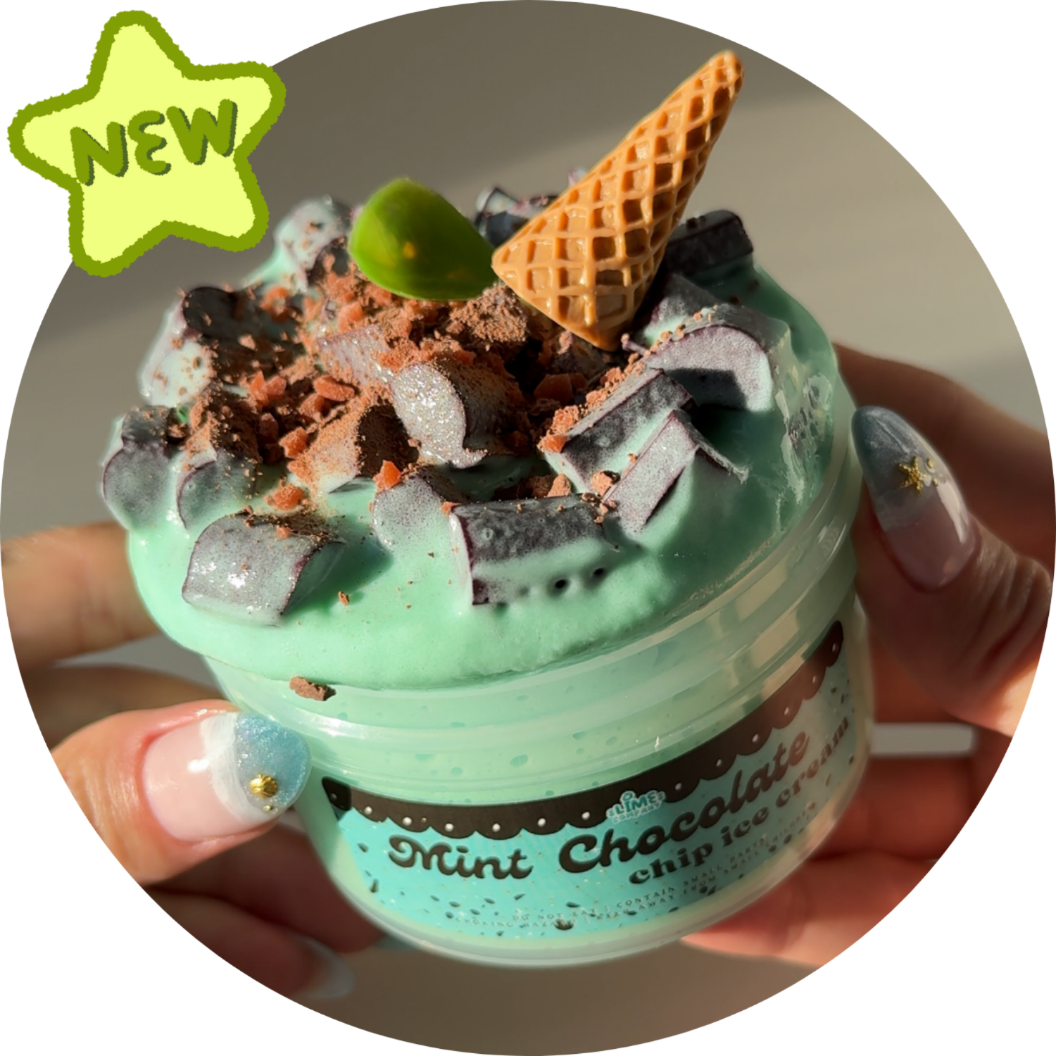 Mint Chocolate Chip Ice Cream