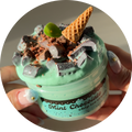 Mint Chocolate Chip Ice Cream