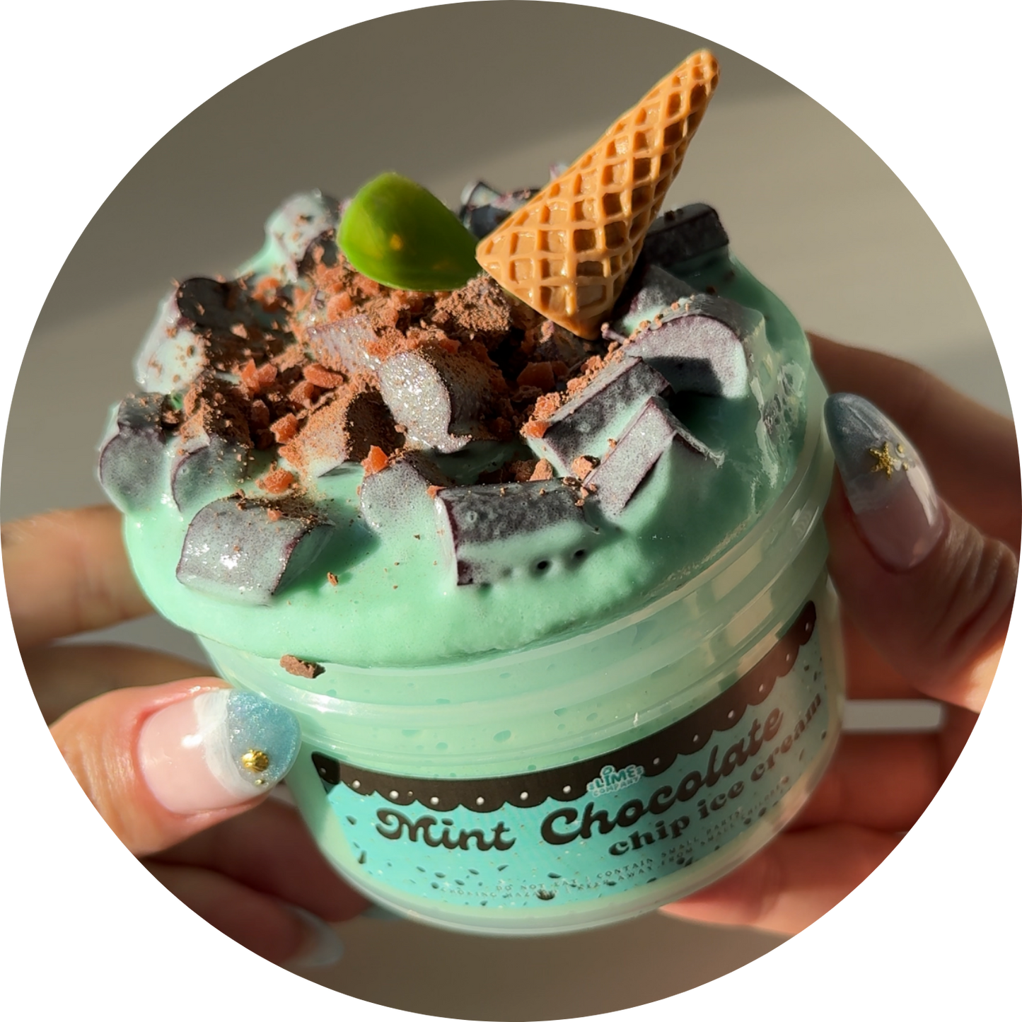 Mint Chocolate Chip Ice Cream