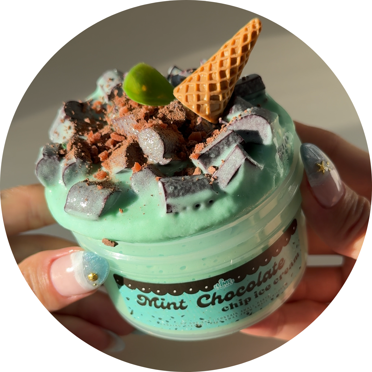 Mint Chocolate Chip Ice Cream