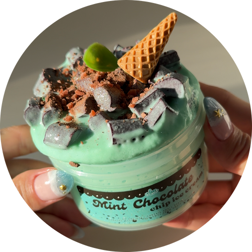Mint Chocolate Chip Ice Cream