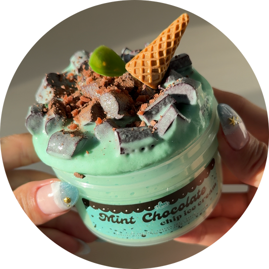 Mint Chocolate Chip Ice Cream