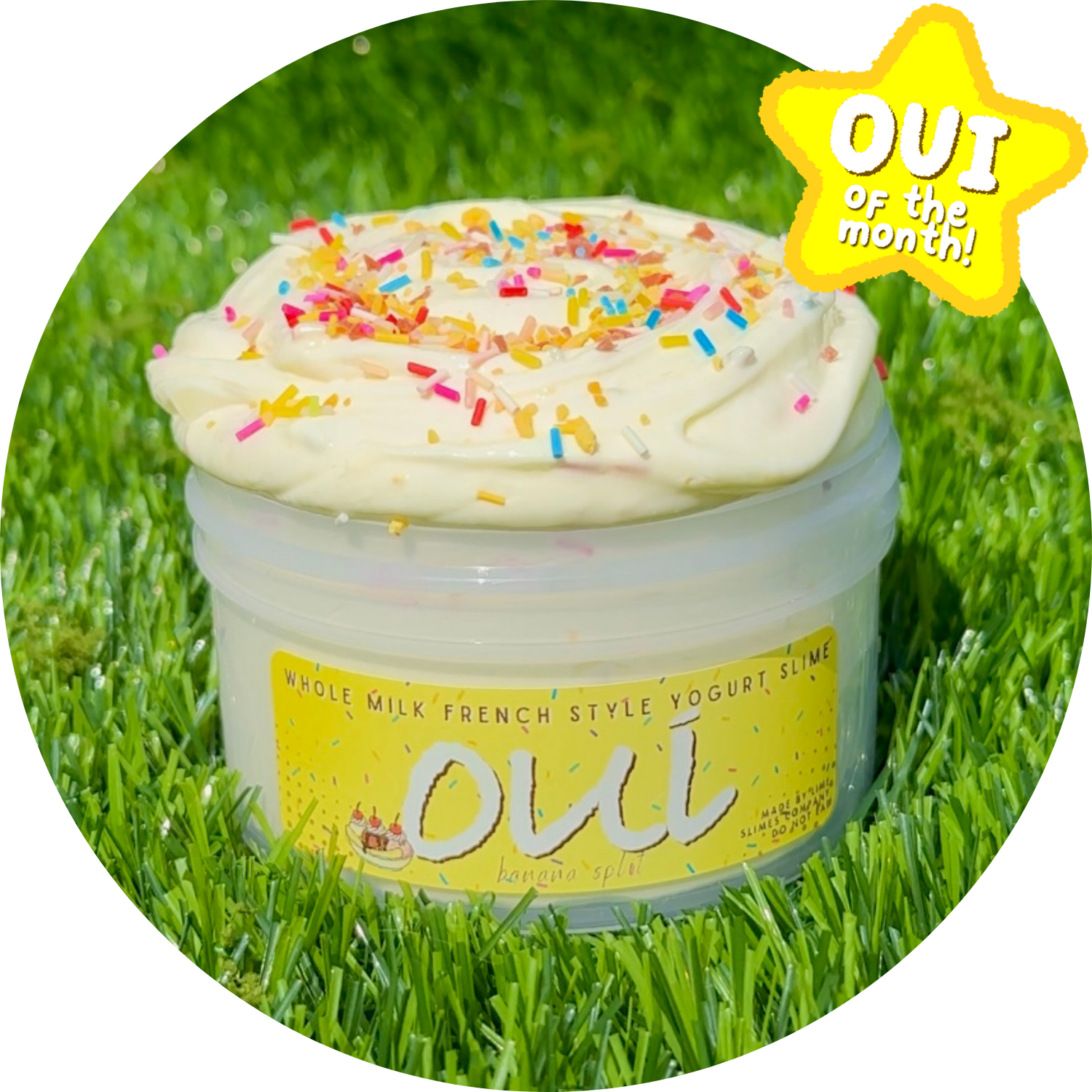 12oz Banana Split Yogurt